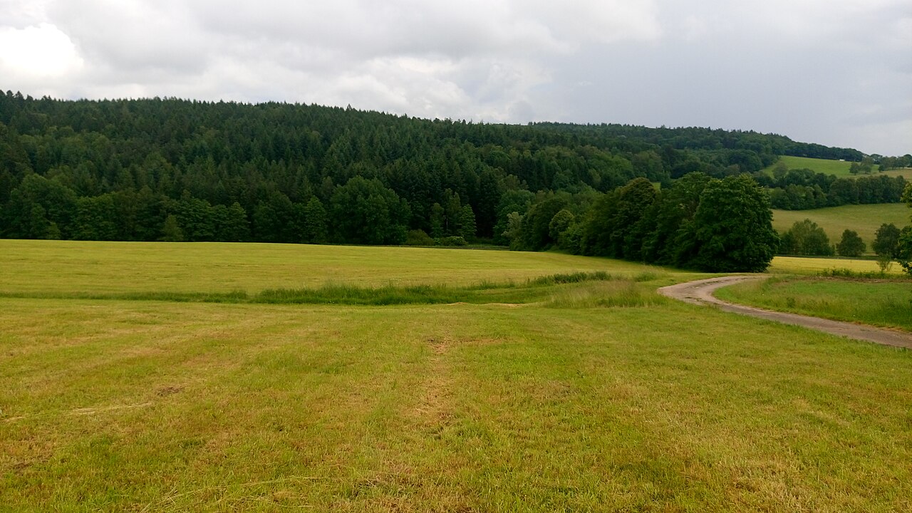 Die Erkelshöhe von Wiesen aus gesehen