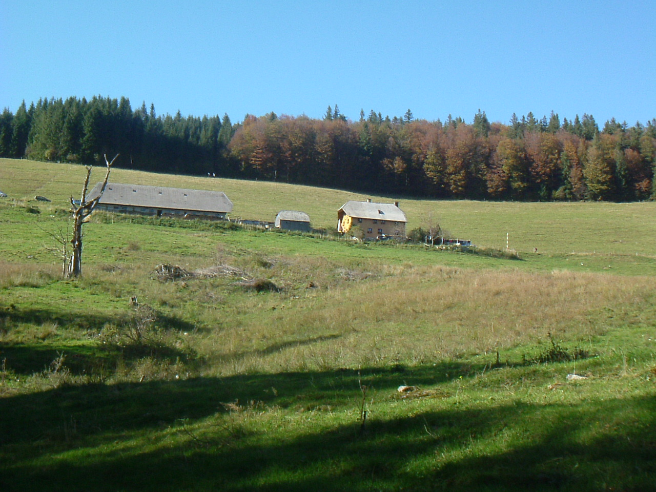 Blick auf die Erlenbacher Hütte beim Abstieg ins Wilhelmer Tal
