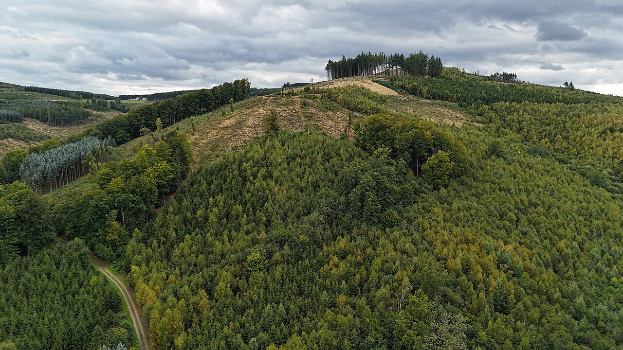 Naturschutzgebiet Erlenbruch Denstenberg mit Umgebung