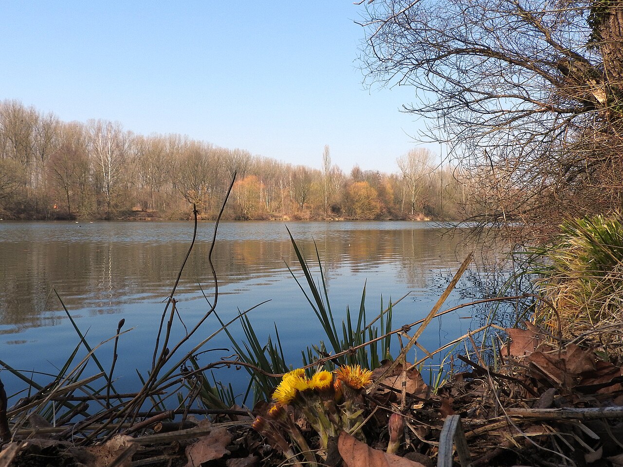 Naturschutzgebiet Erlich, 18
