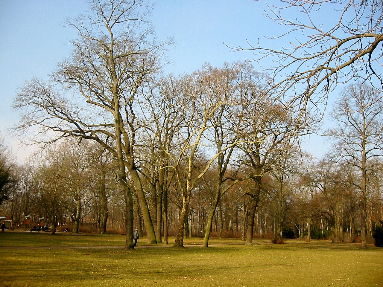 Blick von der Ernst-Grube-Straße in den Ernst-Grube-Park in Berlin-Köpenick