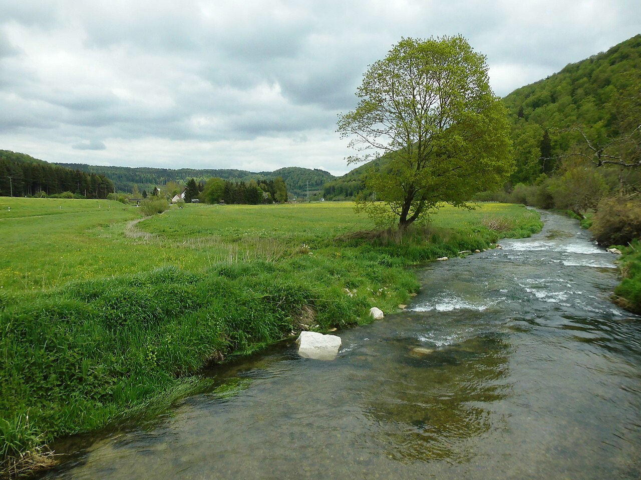 Schmiecha durchquert das Naturschutzgebiet Eselmühle (Schutzgebiets-Nr