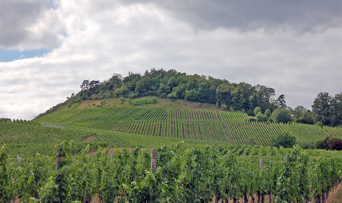 Eselsberg mit Burgstall über Ensingen (von Südosten)