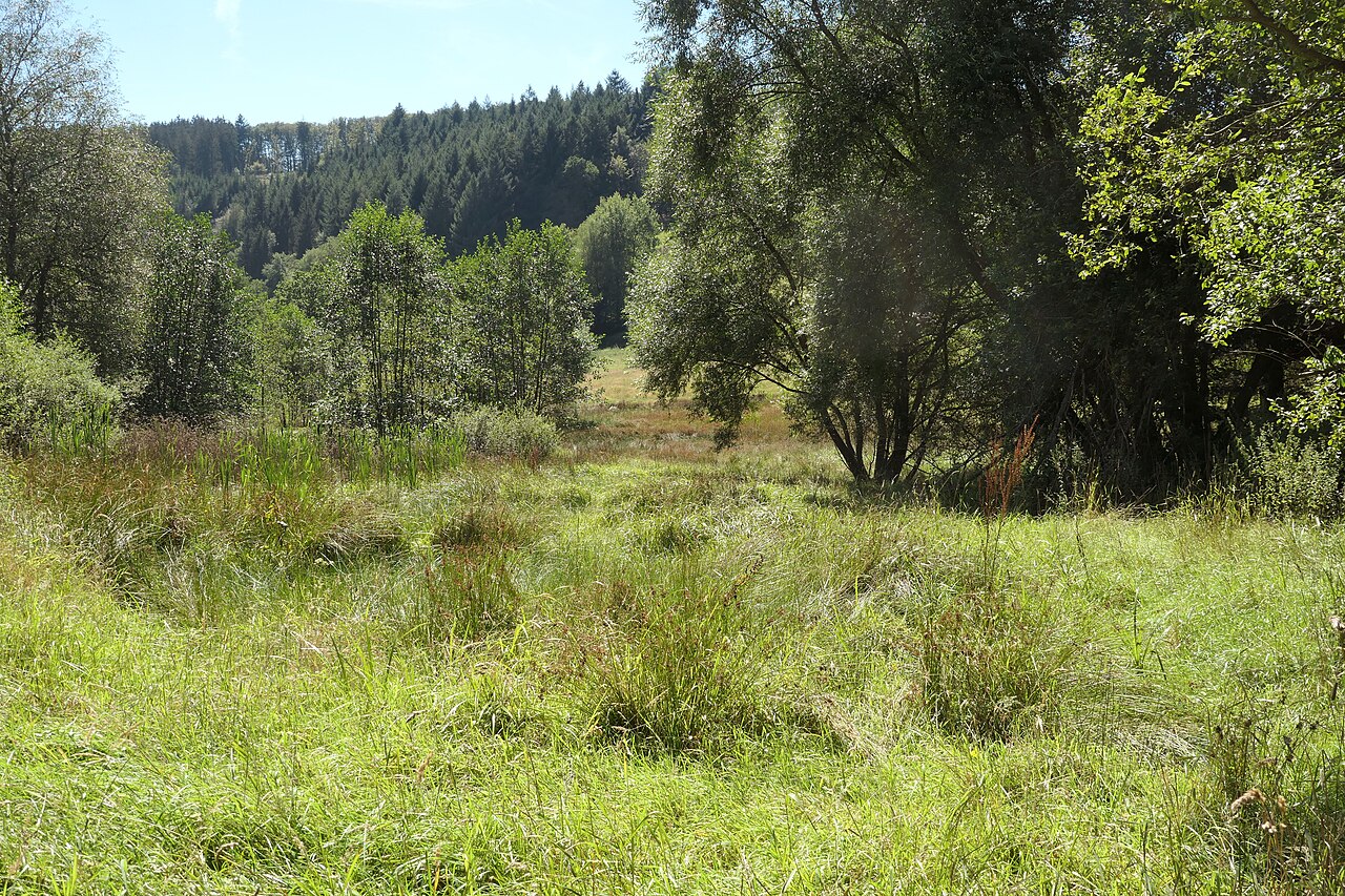 Naturschutzgebiet Eutergrund bei Bullau (Kirchzell, Landkreis Miltenberg, Bayern), von Norden, bayrische Seite