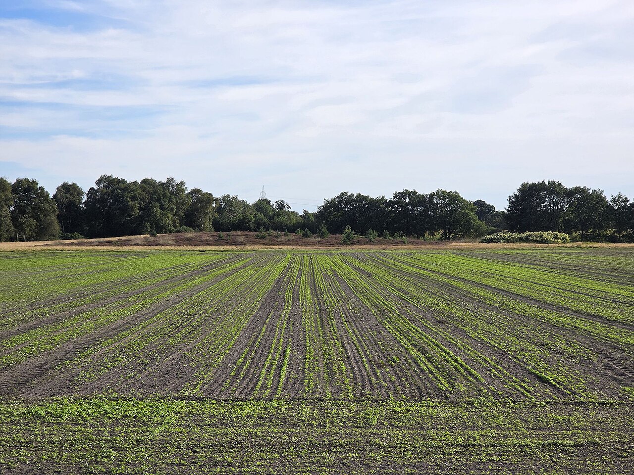 Nature reserve Extensivweiden nördlich Langen