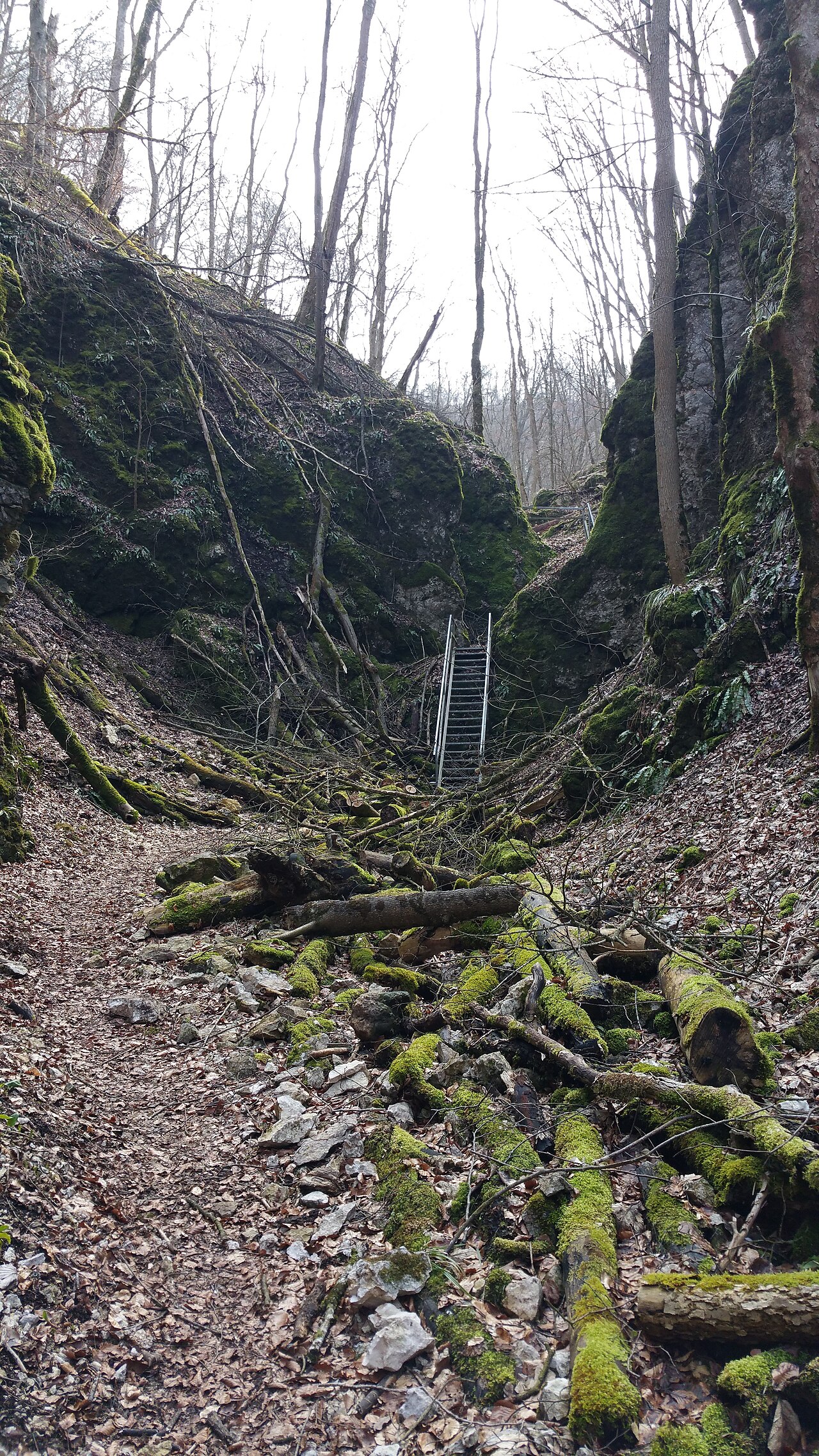 Felsental bei Eyach Kreis Göpingen nähe Geislingen Steige