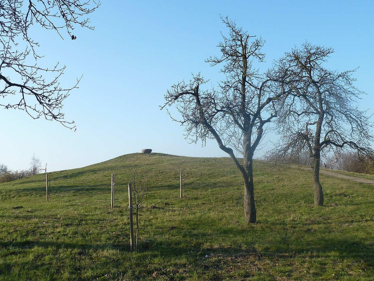Hill Falkenberg in Berlin-Bohnsdorf