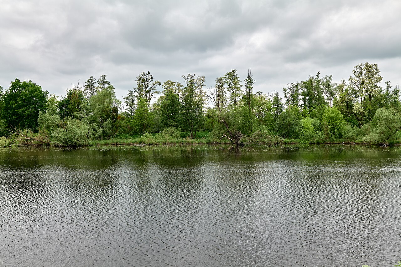 Falkenrehder Wublitz nature reserve and the Havelkanal