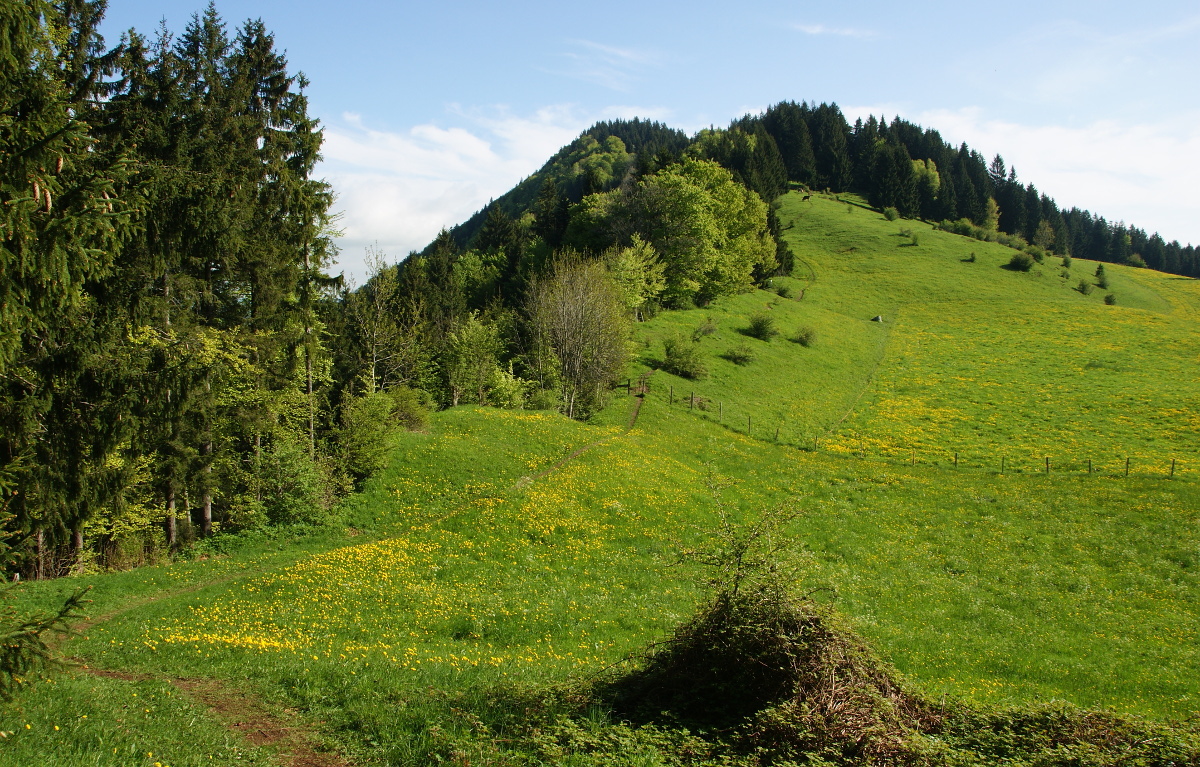 Am Rottachberg, Weg vom Pavillon zum Falkenstein