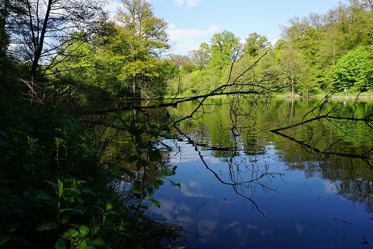 A view on the Ententeich lake in the Fasanerie Aschaffenburg and the island in its middle