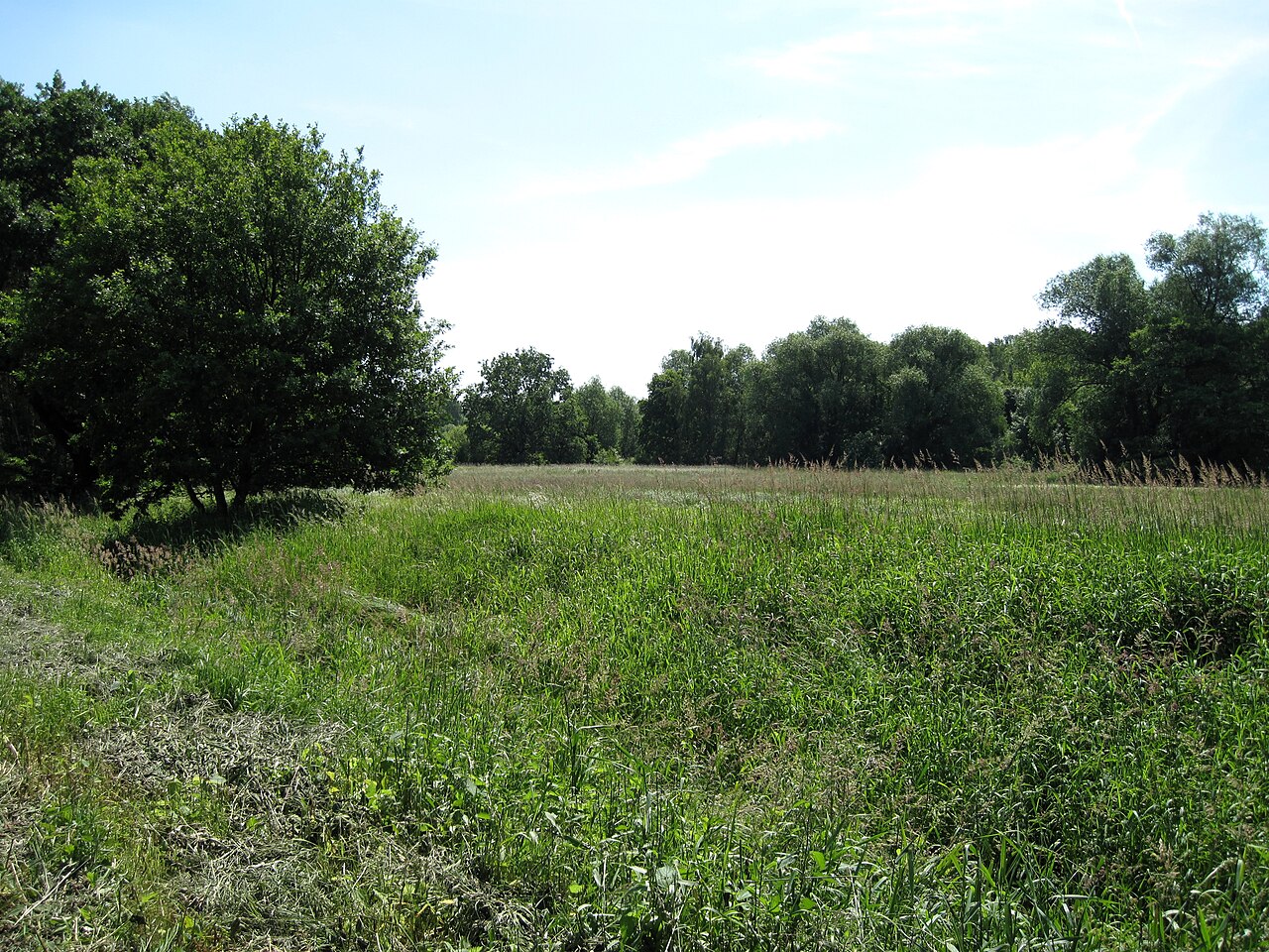 Pankegraben vor dem Naturschutzgebiet „Faule Wiese“ in Zepernick