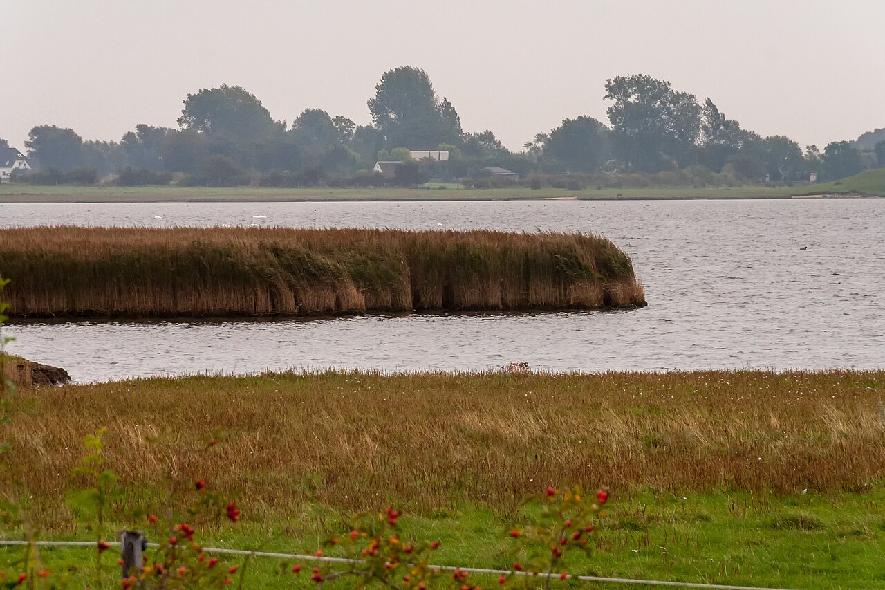 Foto von Fauler See - Rustwerder/Poel