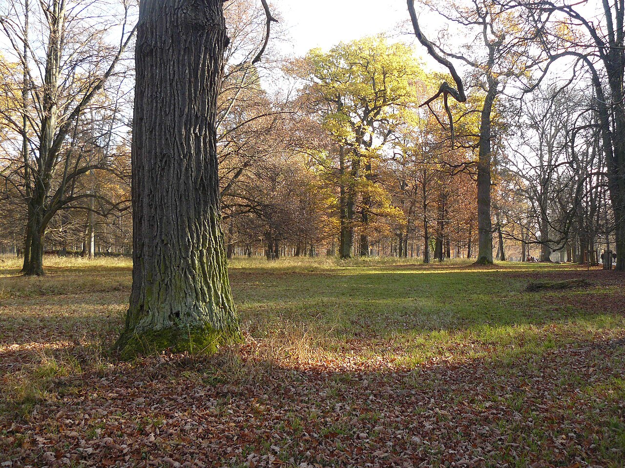 Naturschutzgebiet Favoritepark bei Ludwigsburg - einer der ältesten Naturschutzgebiete Deutschlands