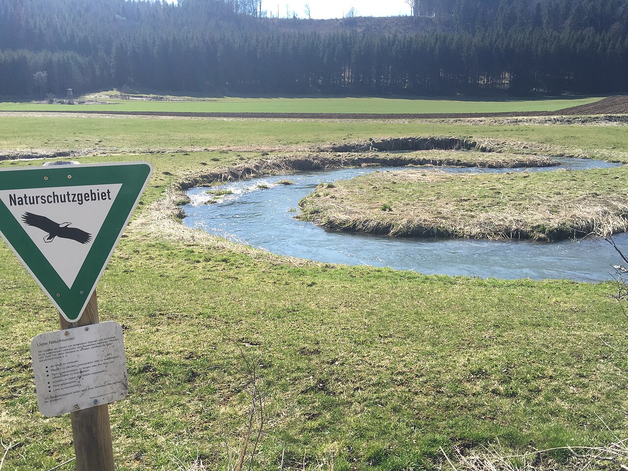 Die Fehla im Naturschutzgebiet Fehlatal