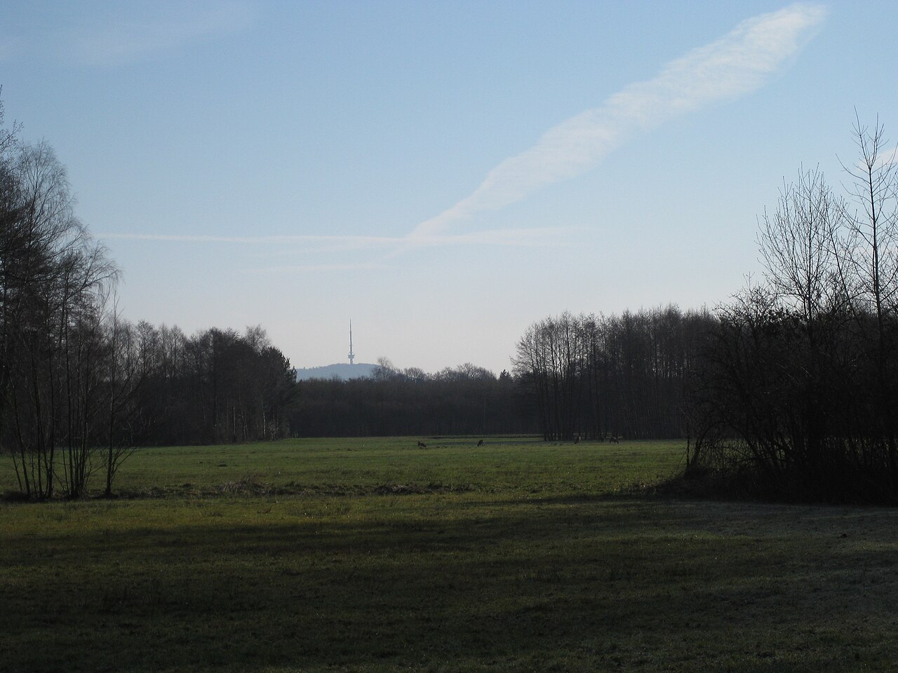 Steinhagen - Nature reserve Feuchtwiesen In den Wösten