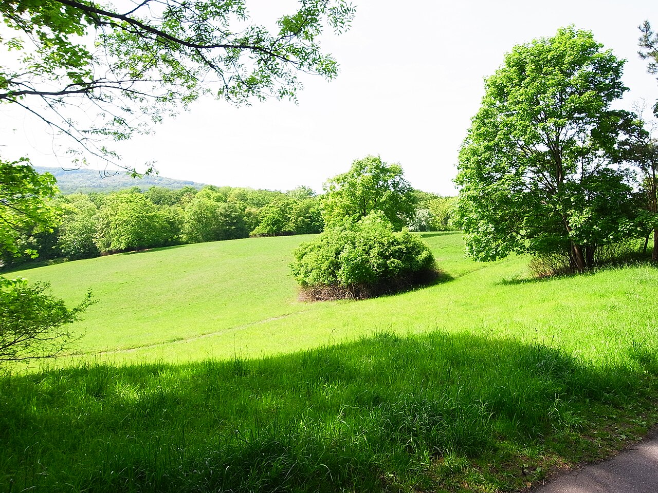 Westlicher Teilausschnitt der Feuerbacher Heide (Stuttgart-Nord)