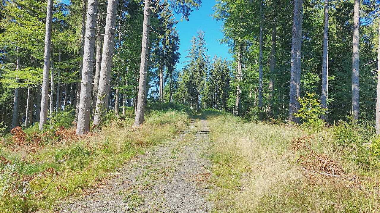 Feurers Höhe of the Adelegg, view from south