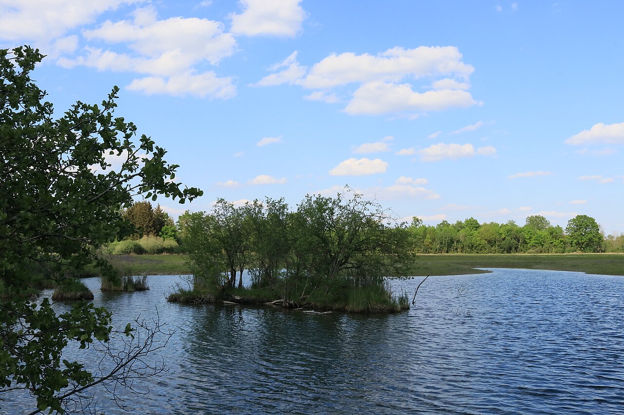 View of the protected area Westerried north of Wertingen