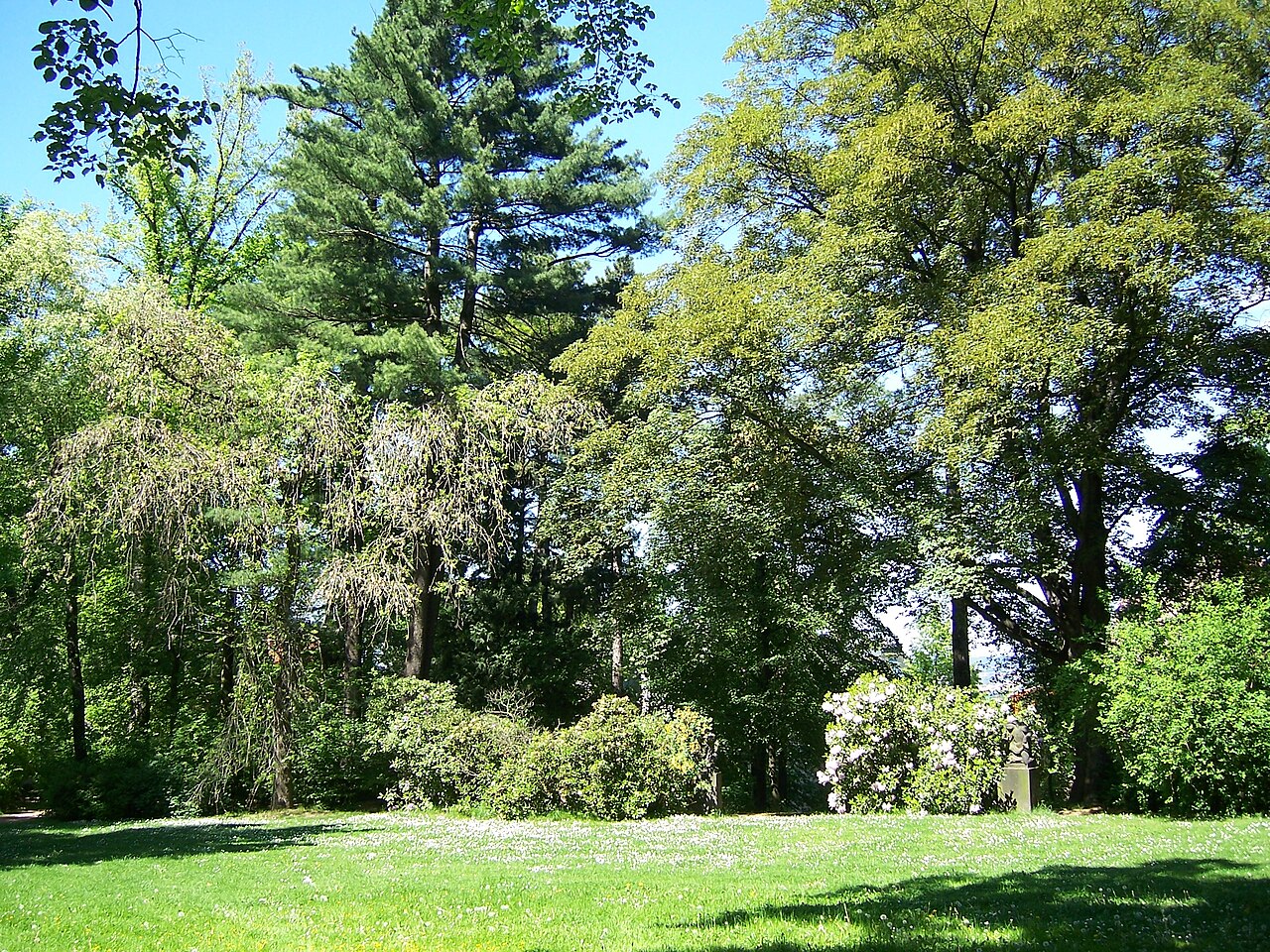 Der Fichtepark in Dresden-Plauen