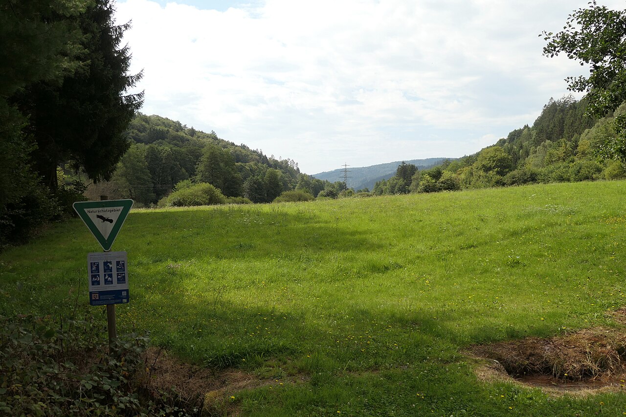 Nature reserve "Finkenbachtal bei Finkenbach" near Oberzent (WDPA: 81666, Germany, Hesse, Kreis Bergstraße)