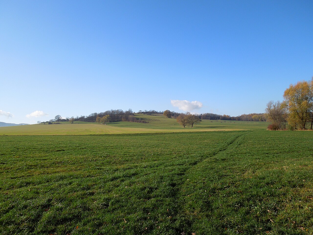 Blick zum Finkenhübel bei Großschönau