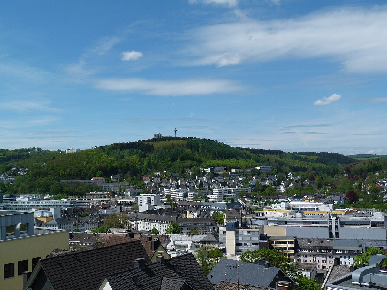 Der Fischbacherberg in Siegen