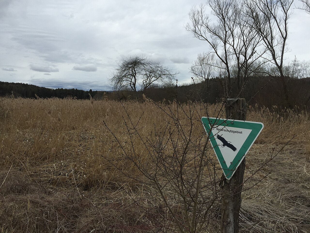 Naturschutzgebiet Fischerweihermoor bei Allensbach