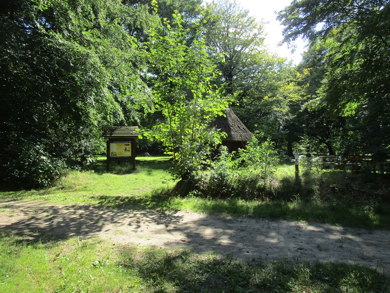 Petersborg / Rugesransel i Langbjerg Skov