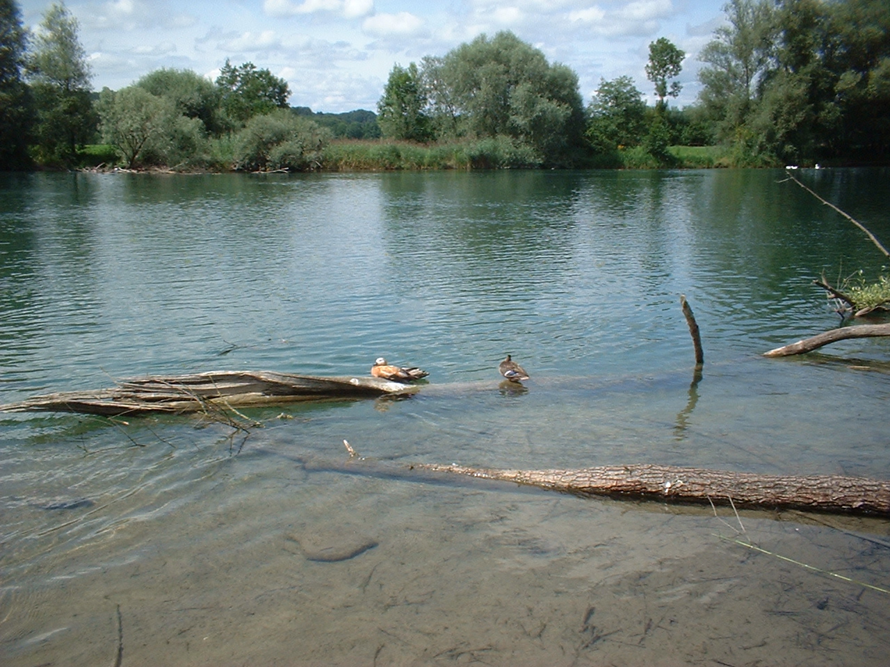 Flachsee, Aargau, Switzerland
