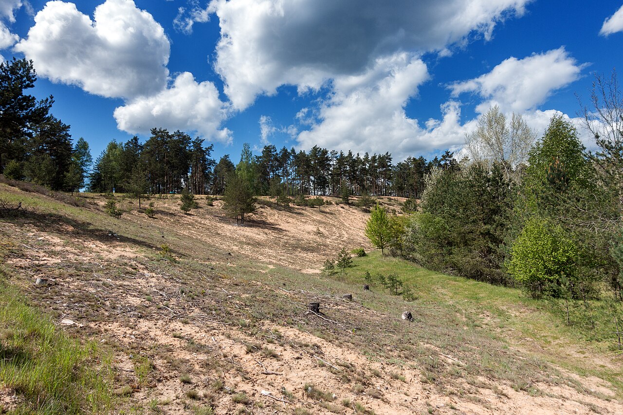 Sandgrube bei Ernhofen, NSG Flechten-Kiefernwälder südlich Leinburg
