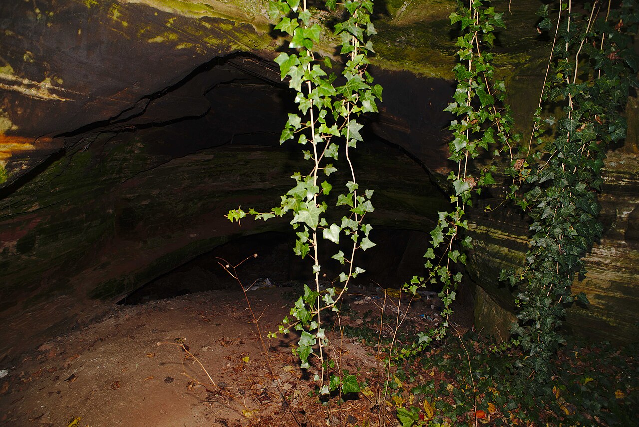 Eingang der Fledermaushöhle in Bischmisheim