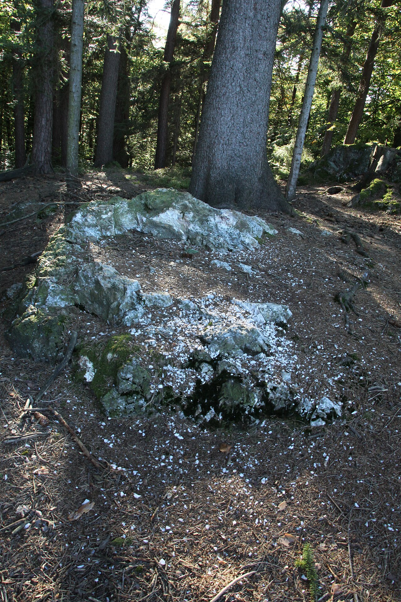 Flinsberg (bei Oberrot)