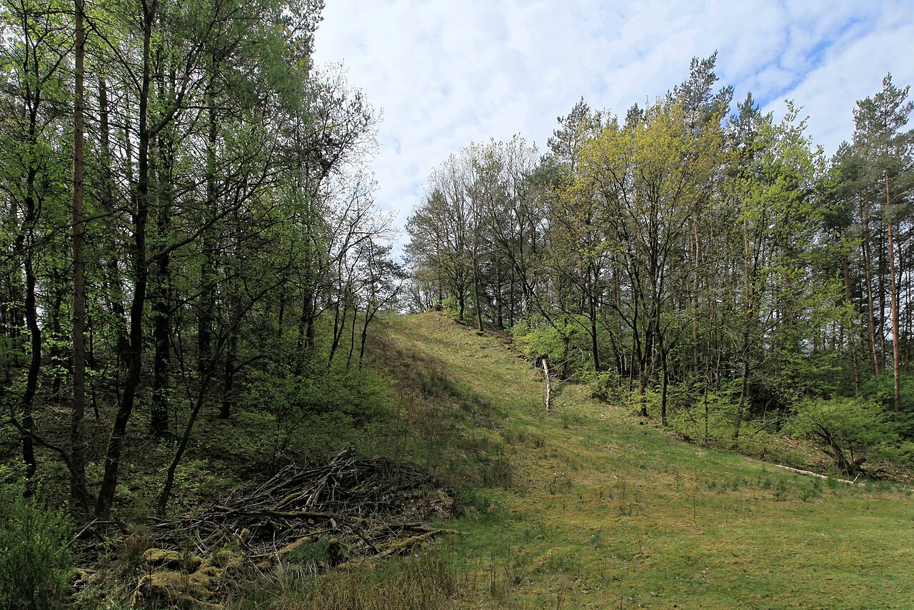 Flütenberg, Naturschutzgebiet Flütenberg, Bundesstraße 70 in Haren (Ems)