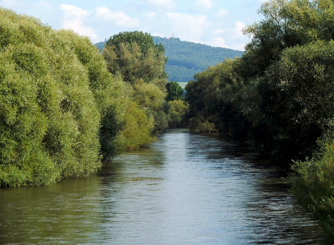 River Danube Meadows