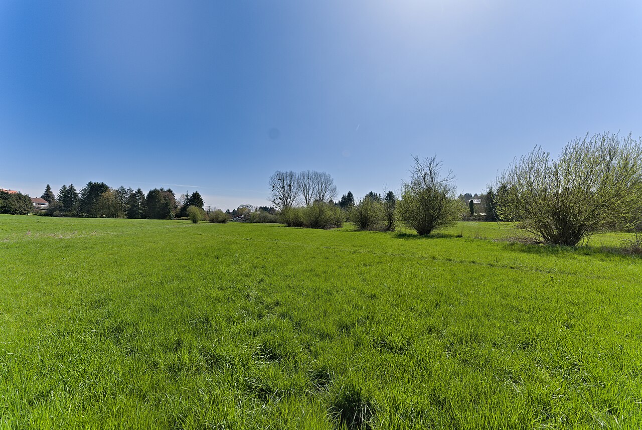 Nature reserve Förstergrund von Kelkheim