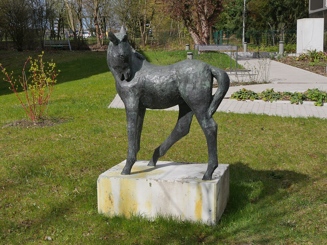 Martin Irwahn: Fohlen