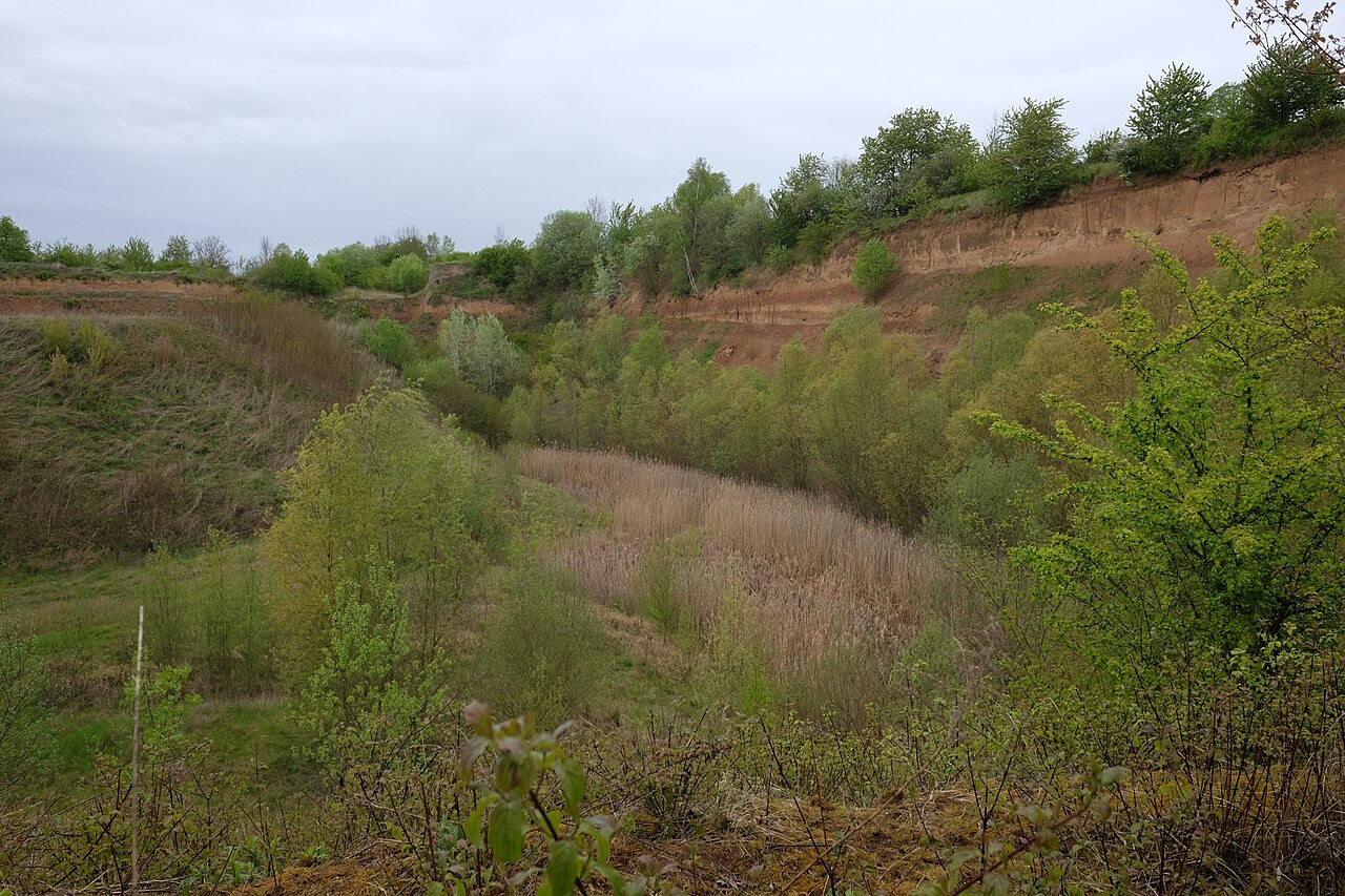 Foto von Frankenbacher Schotter