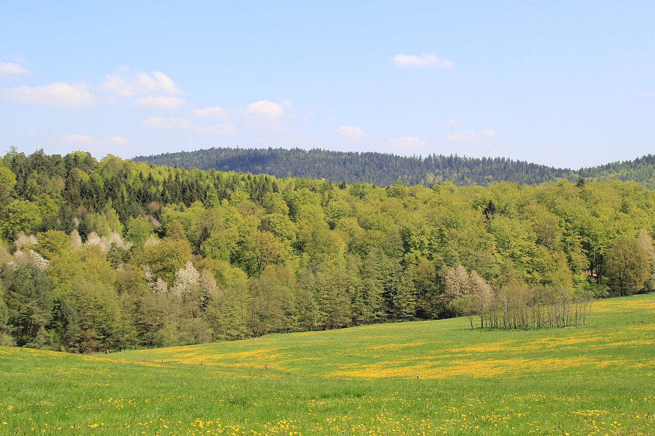 Der Franzosenkopf im Spessart von Geiselbach in Bayern gesehen