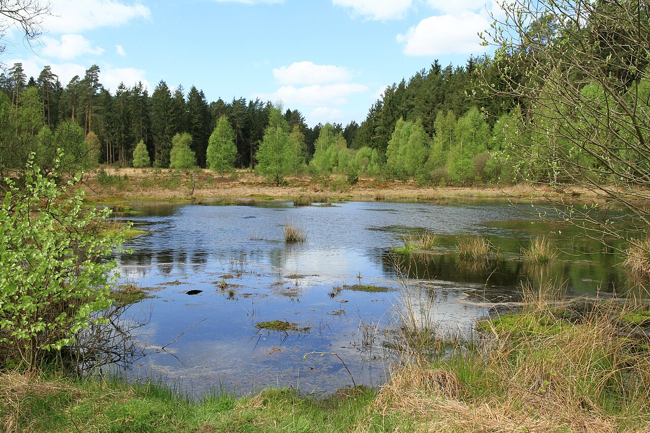 Foto von Franzosenwiesen/Rotes Wasser