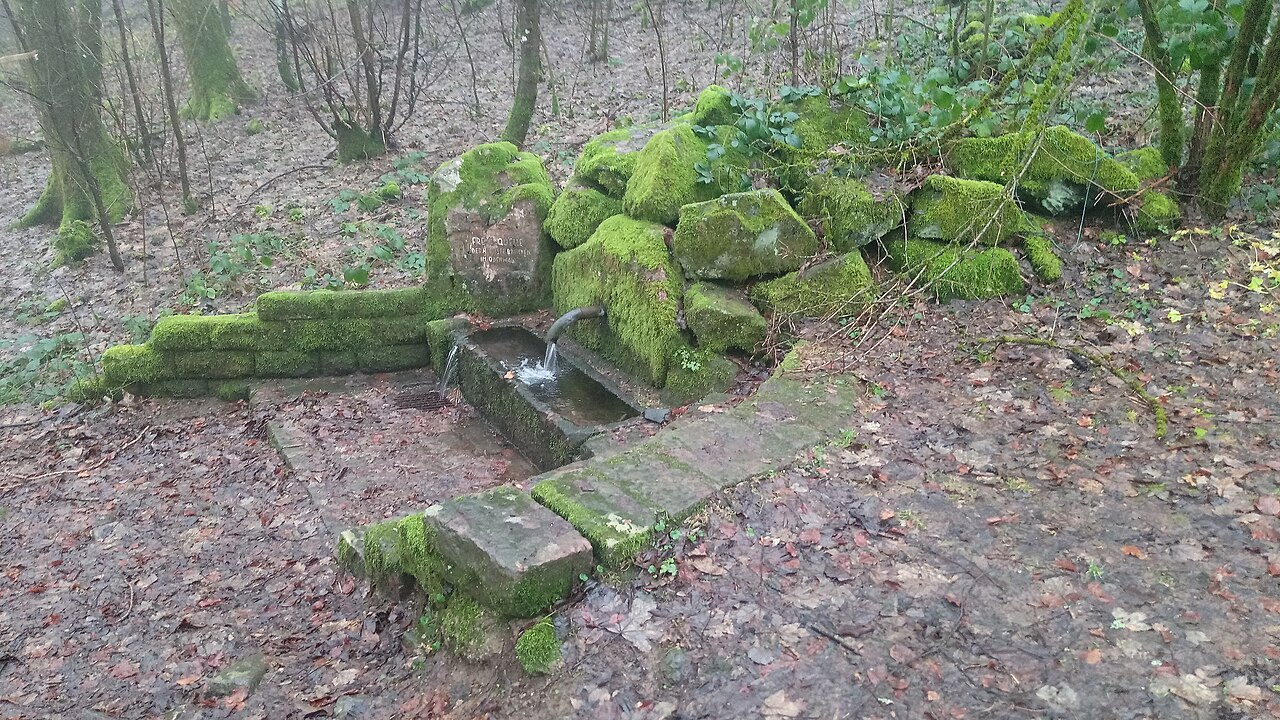 Quellbrunnen auf dem Katzenbuckel
