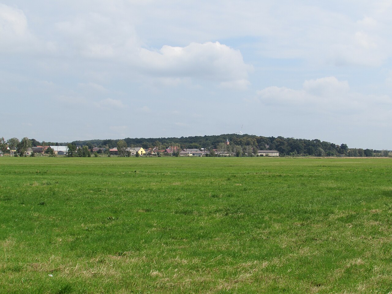 blick auf rogäsen und den friedensberg vom fiener bruch