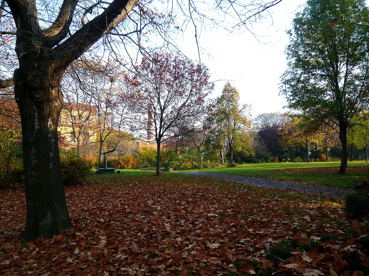 Berlin-Prenzlauer Berg, Fröbelplatz mit Herbstlaub