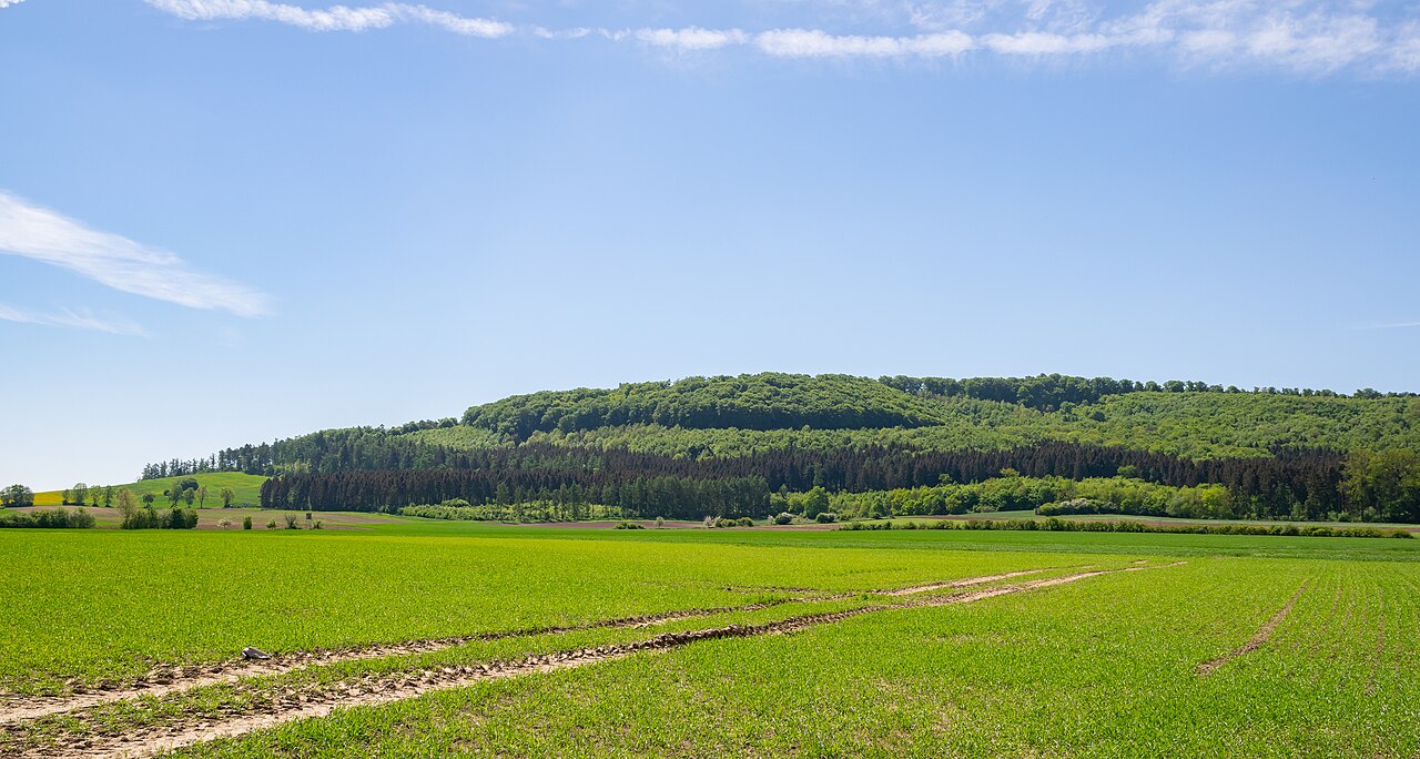Naturschutzgebiet Asseler Wald , Warburg, Kreis Höxter