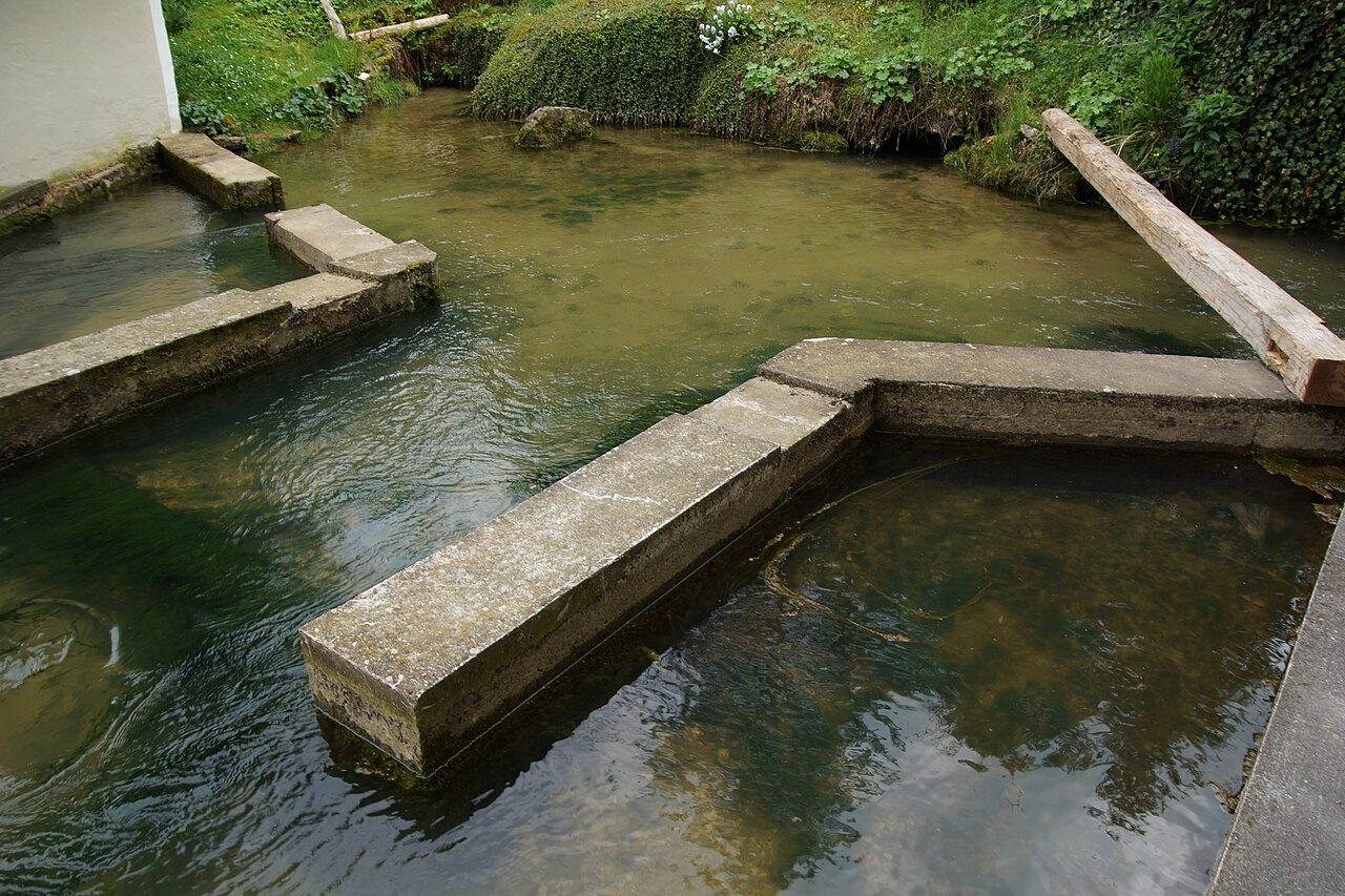 Die Quelle vom Mühlheimer Bach ("Booch")