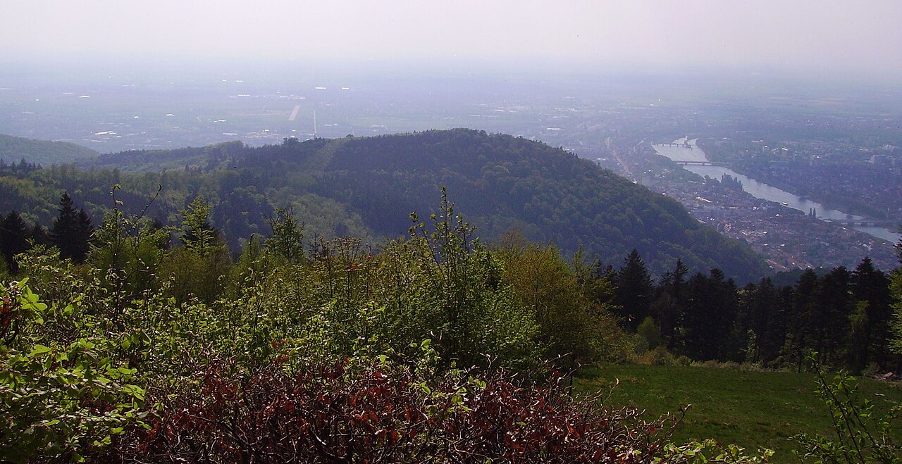 from top of Königstuhl (mountain) in Heidelberg , Germany