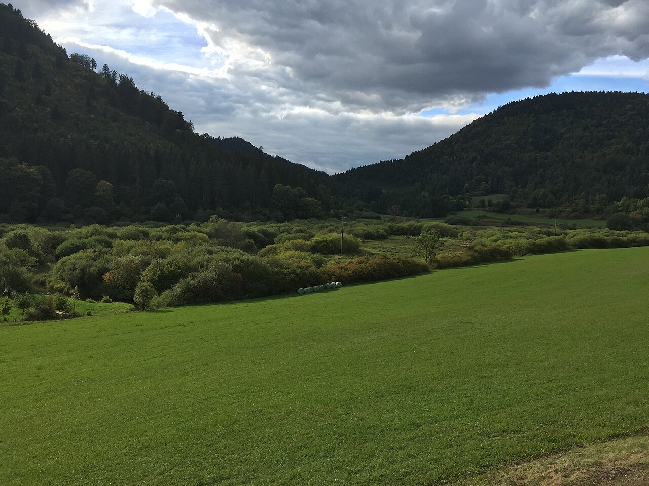 Das Naturschutzgebiet Galgenwiesen , wo Obere und Untere Bära zusammenfließen
