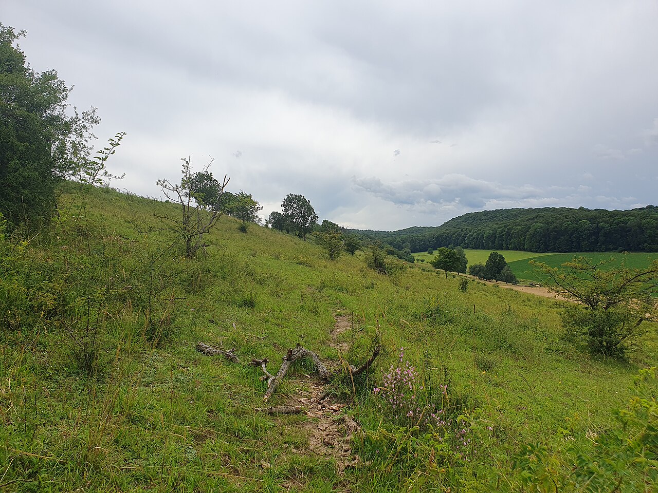 Blick vom Westhang des Gallberg unterhalb des Wasserbehälters nach Süden