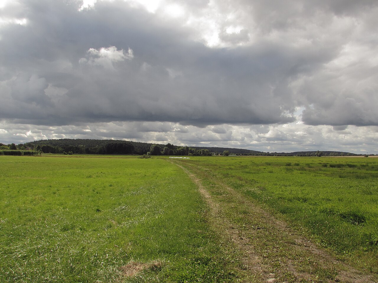 eichberg, schwarzer berg, gallberg
