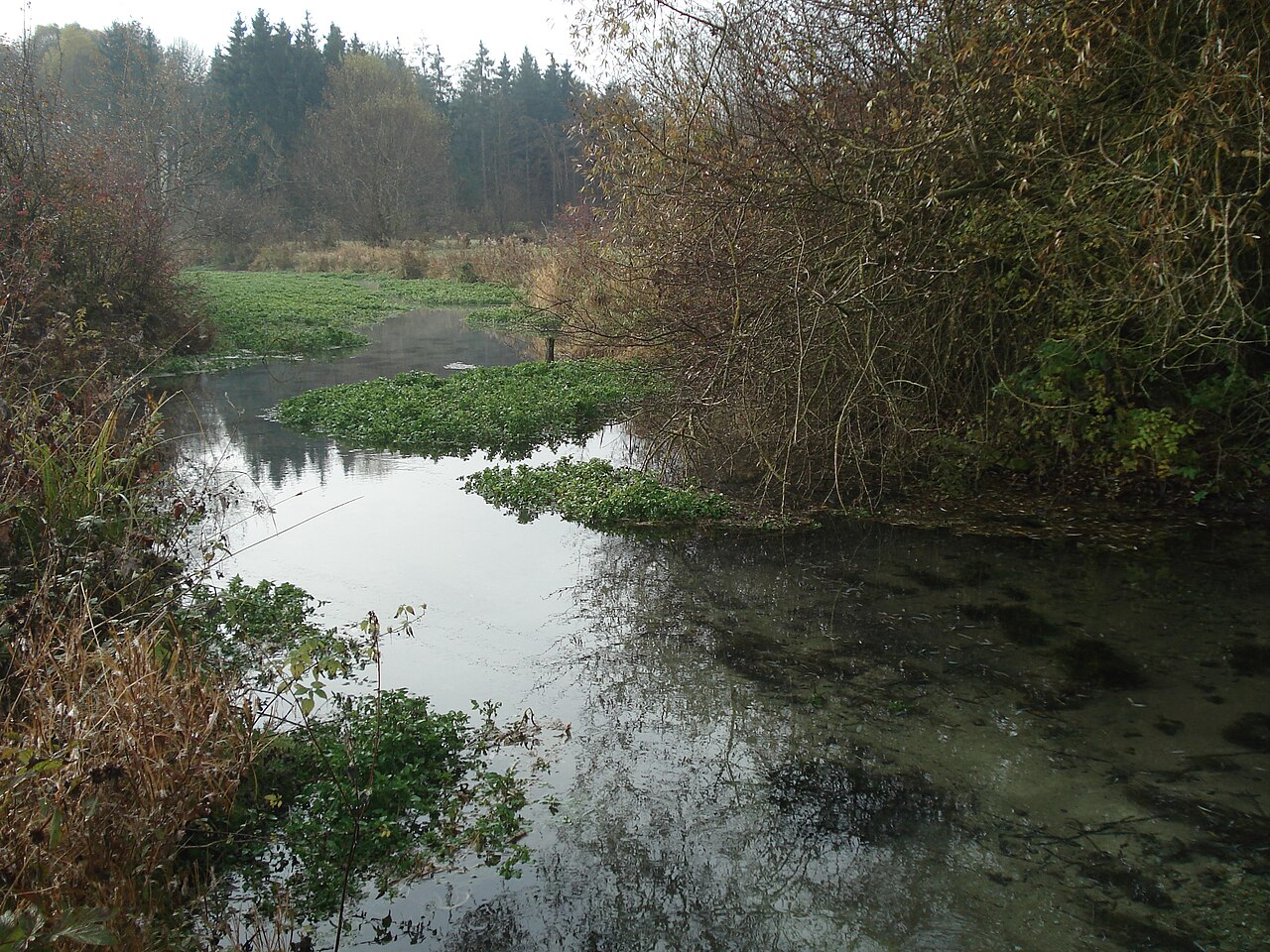 Der abfließende Bach der Gallengehrenquelle (Flussabwärts!)