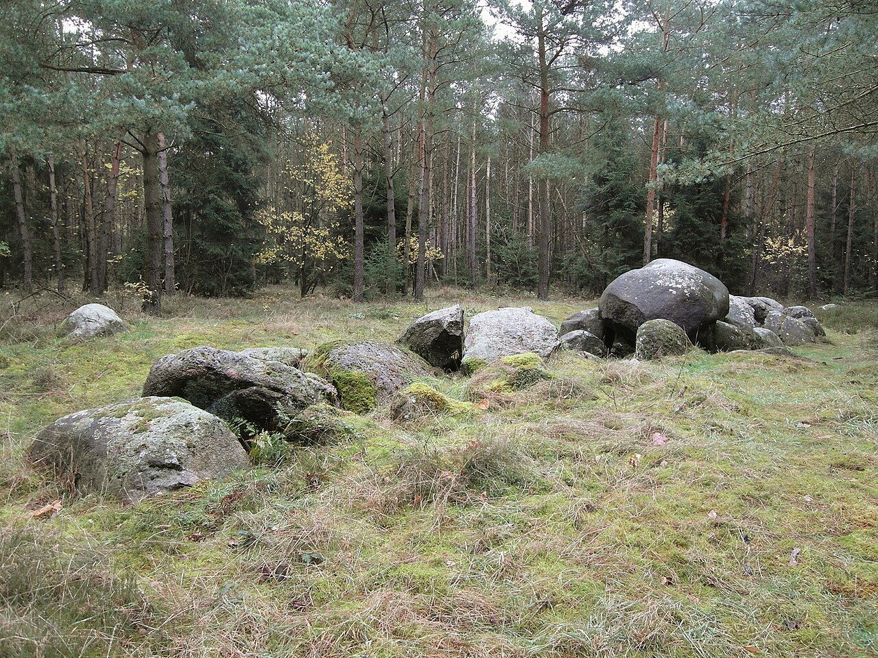 Megalithic tomb "Auf dem Radberg" (district Emsland, Lower Saxony)